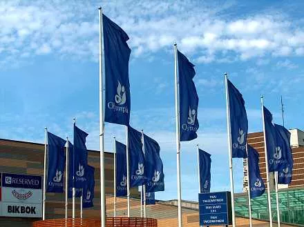 Флагшток ФЛ-10 (ф)